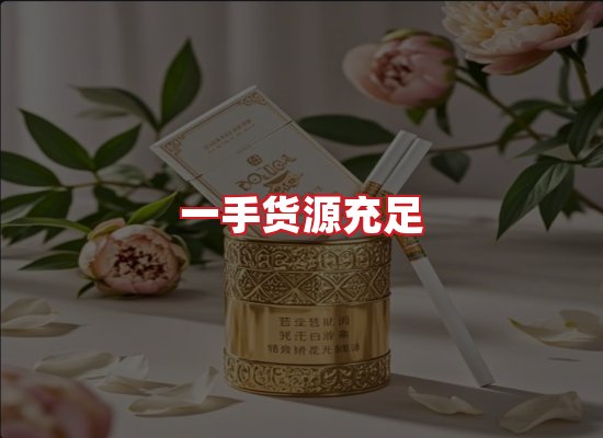 专业团队